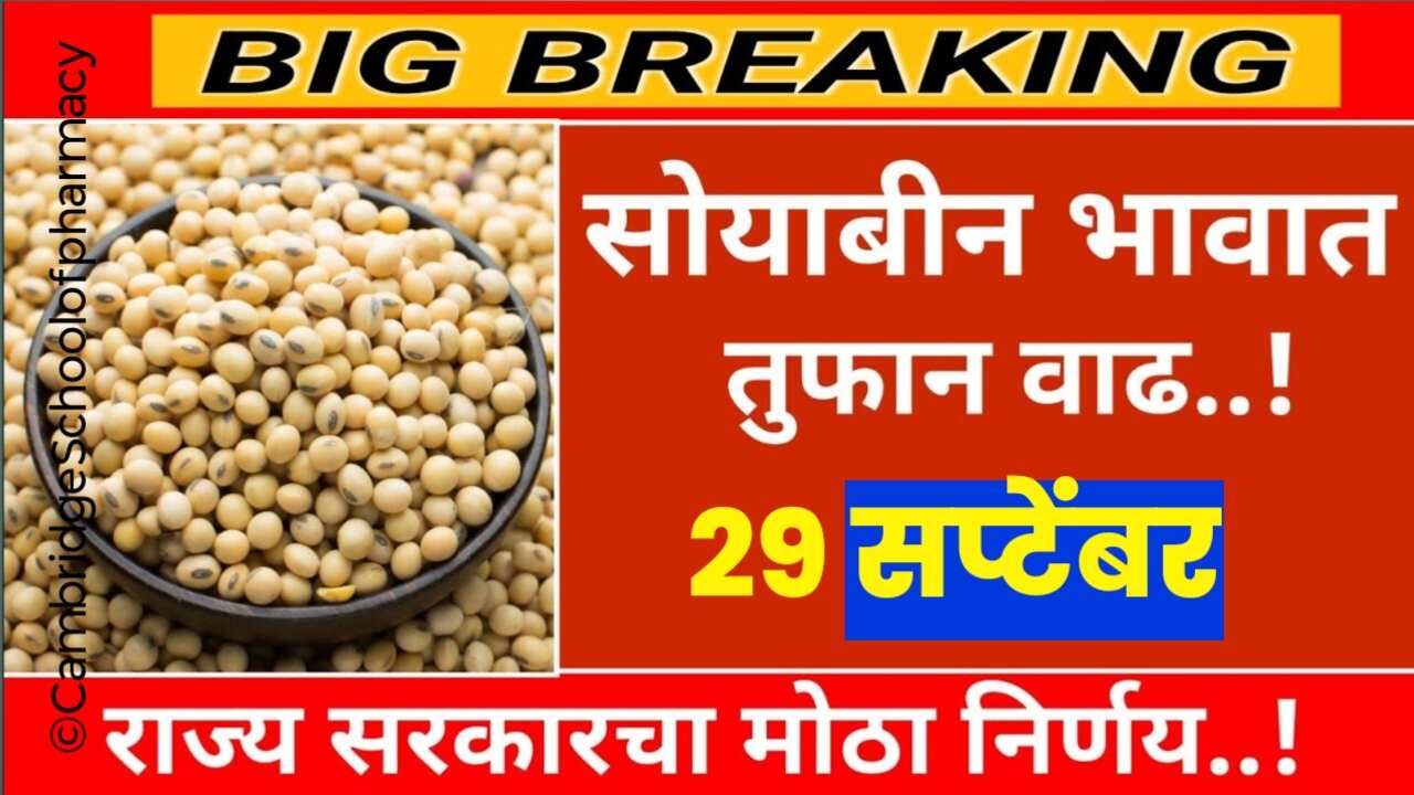 ‘या’ बाजारपेठेत सोयाबीन साठी मिळत आहे सर्वाधिक भाव: शेतकरी झाले मालामाल, soybean rates today