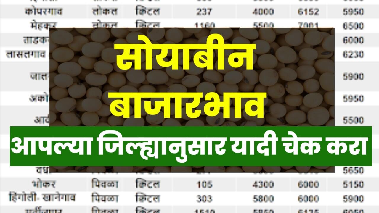अतिवृष्टीमुळे सोयाबीन बाजारभावाला मोठा फटका; कंपन्यांकडून सोयाबीनची मोठी मागणी; Soyabean bajar bhav today
