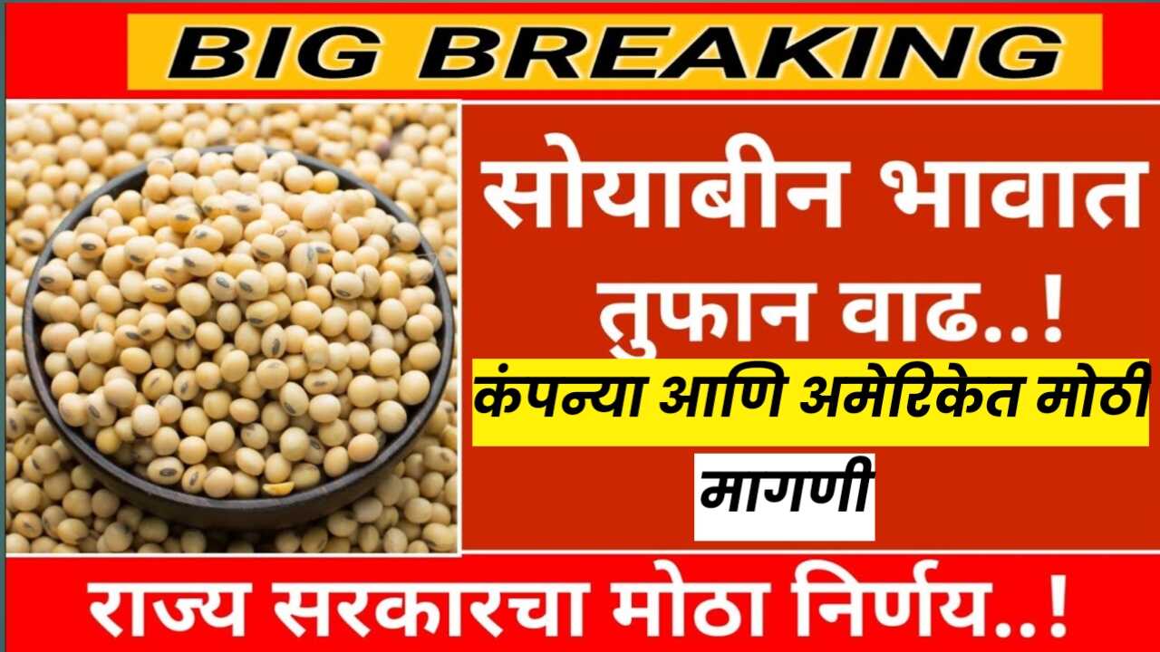सोयाबीन बाजारभावाची गगनचुंबी भरार; कंपन्यांकडून मोठी मागणी; अमेरिकेत मोठी आयत; Soyabean rates today