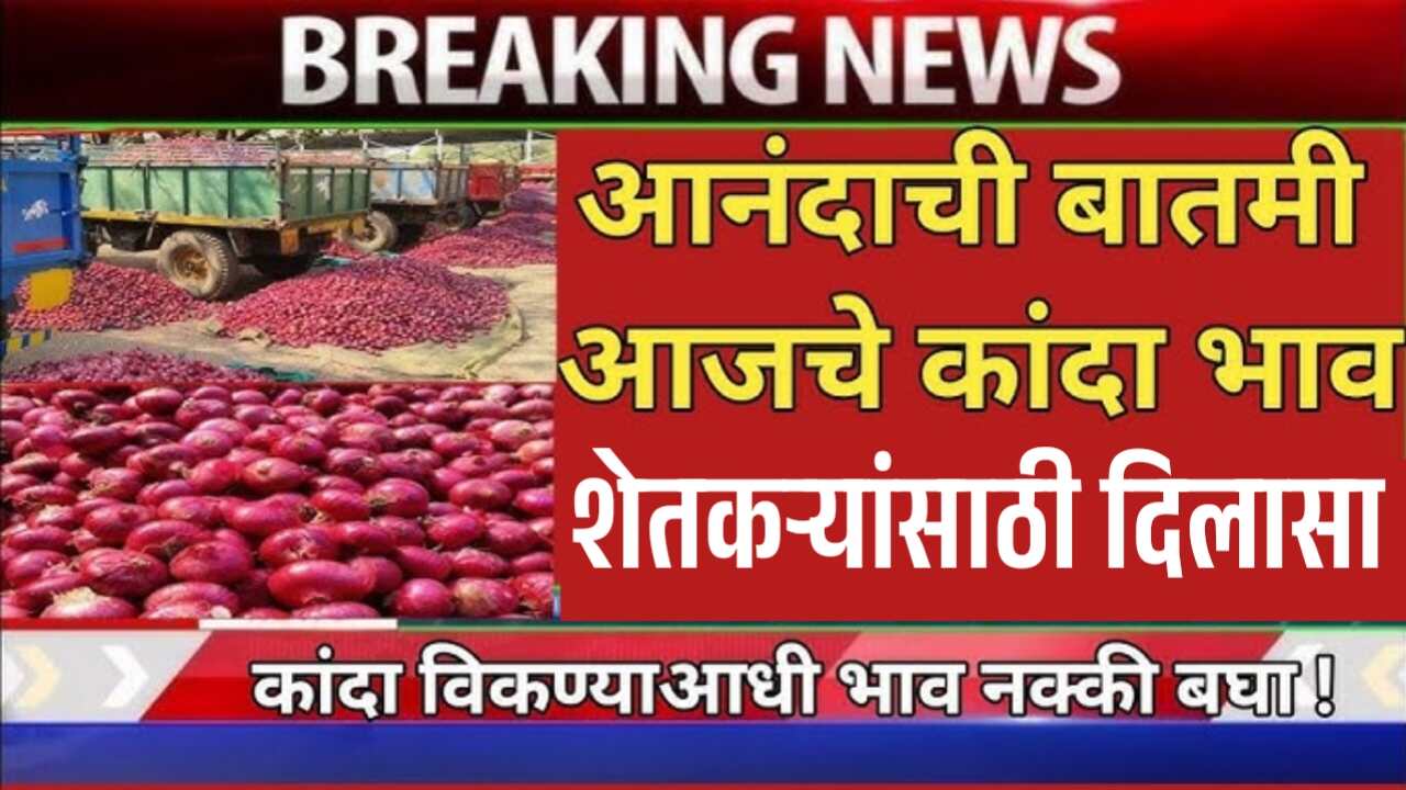 Onion Rates Today: आजचे कांदा बाजारभाव व्यापाऱ्यांकडून मोठी खरेद; शेतकऱ्यांसाठी मोठा दिलासा; कोणत्या बाजारात किती दर?
