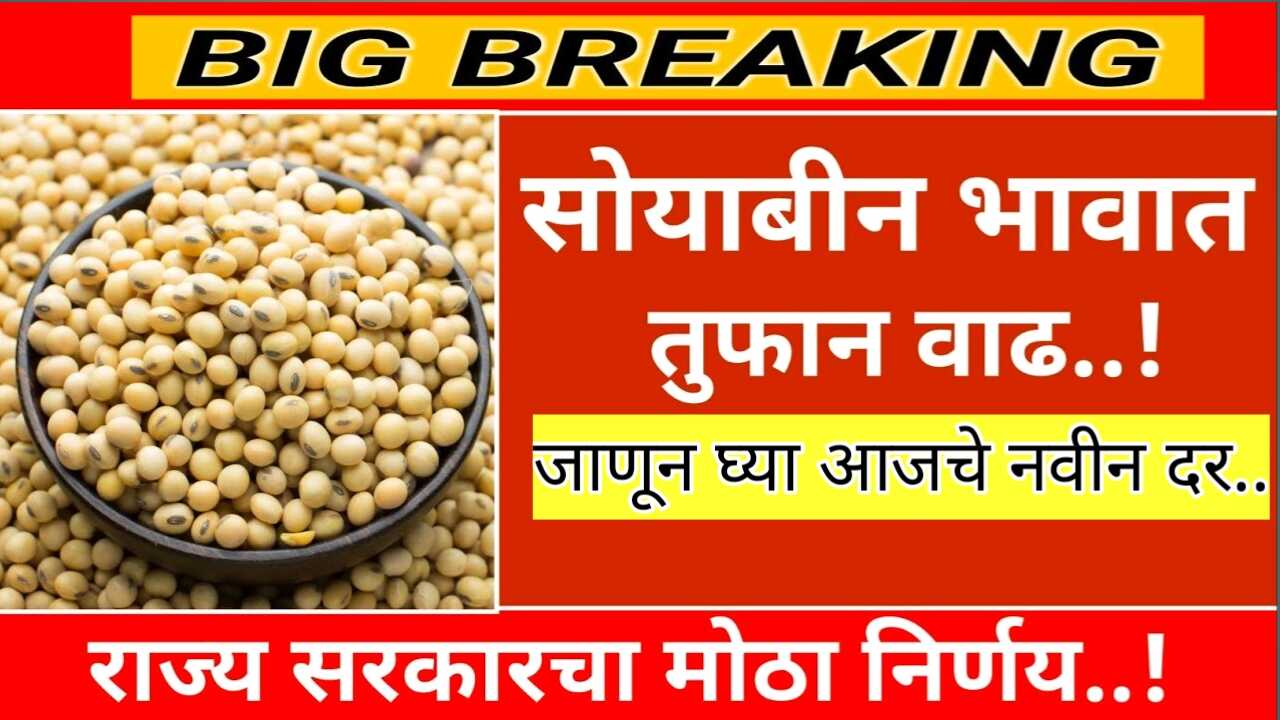 अतिवृष्टीमुळे सोयाबीन बाजारात झाले मोठे बदल शेतकरी बांधवांसाठी महत्त्वाचे अपडेट! Maharashtra Soybean Rates