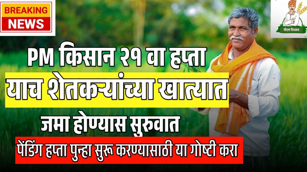 PM किसानचा २१ वा हप्ता दिवाळीपूर्वी ‘याच’ शेतकऱ्यांच्या खात्यात जमा होणार? शेतकऱ्यांसाठी महत्त्वाची अपडेट!