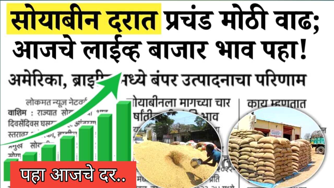 सोयाबीनचा भाव वाढणार की घटणार? बाजार समितीमधील सोयाबीनचा आजचा सविस्तर दर. Soybean Rates